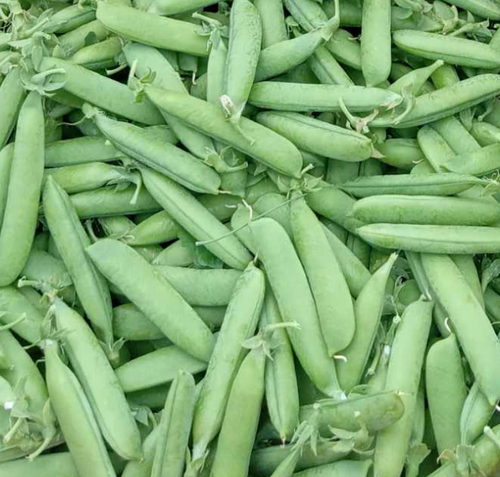 Sugar Snap Peas