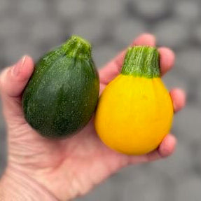 Round varieties of squash on sale at Union Square Green Market, NYC.