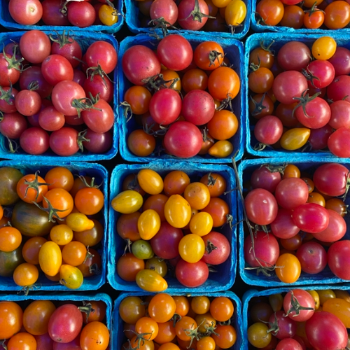 Mixed Cherry Tomatoes, Norwich Meadows Farm.