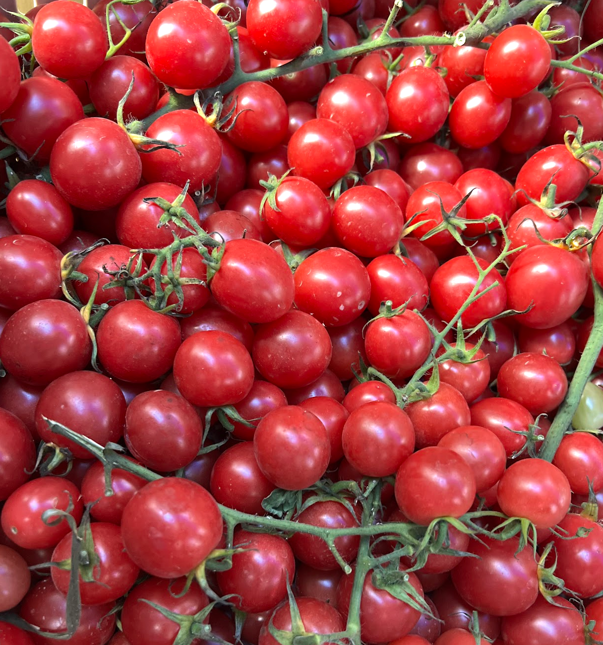 The Farm Box