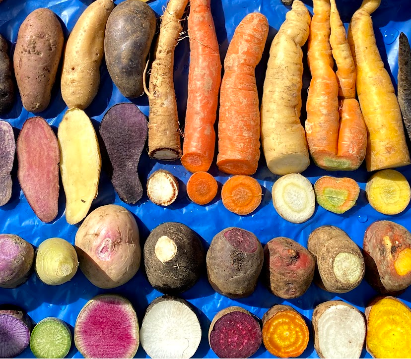 As assortment of winter vegetable from Norwich Meadows Farm - many included in Winter CSA Shares.