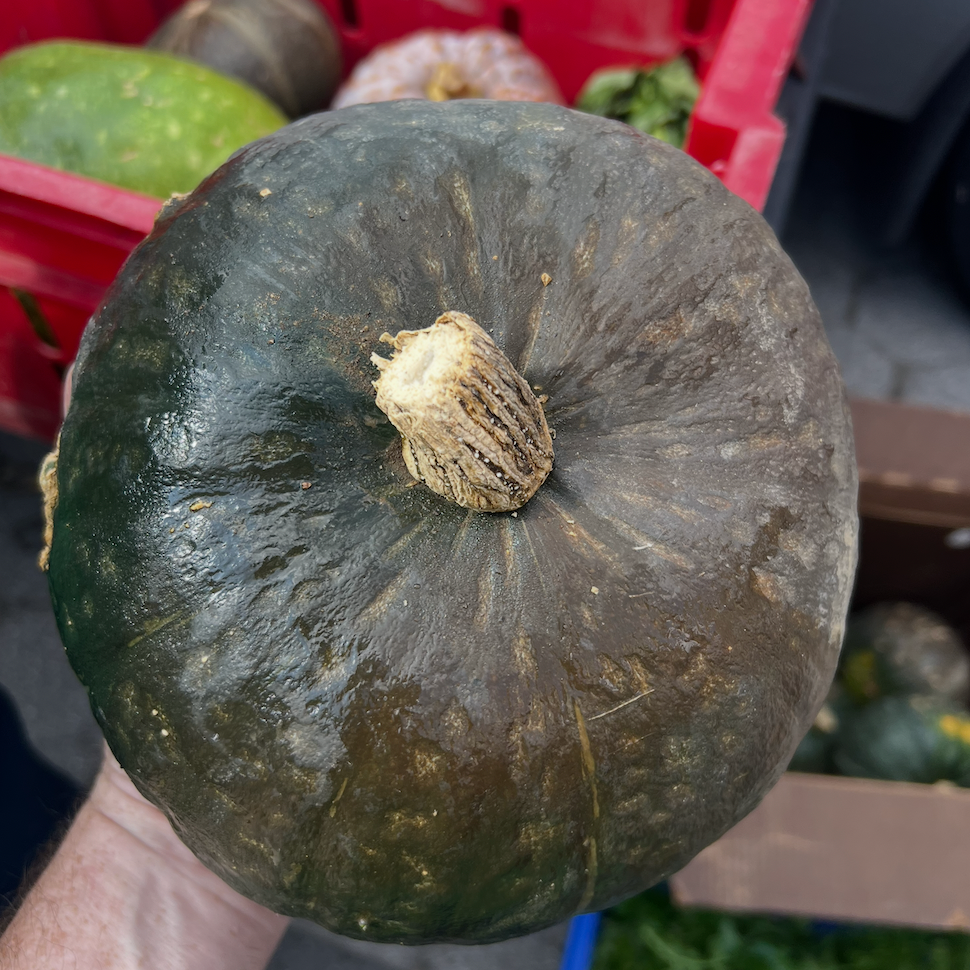 Kabocha Squash at Union Square harvested by Norwich Meadodws Farm