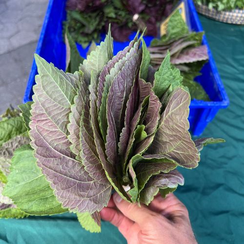 The Asian Harvest Box