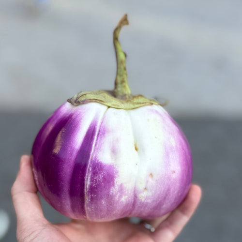 Sicilian Eggplant