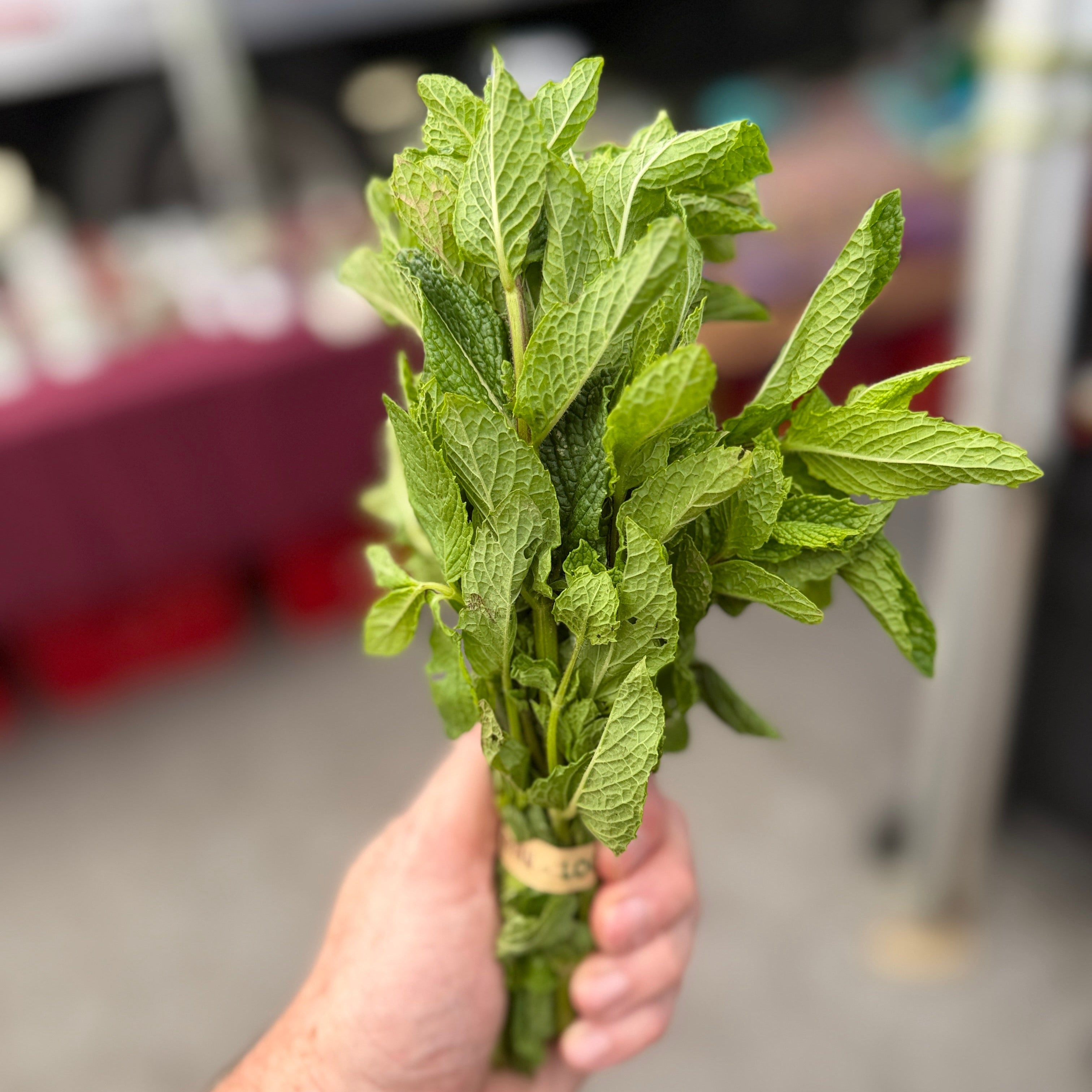 Spearmint from Norwich Meadows Farm