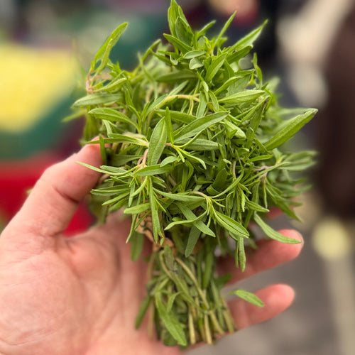 Summer Savory grow upstate in Norwich, NY.