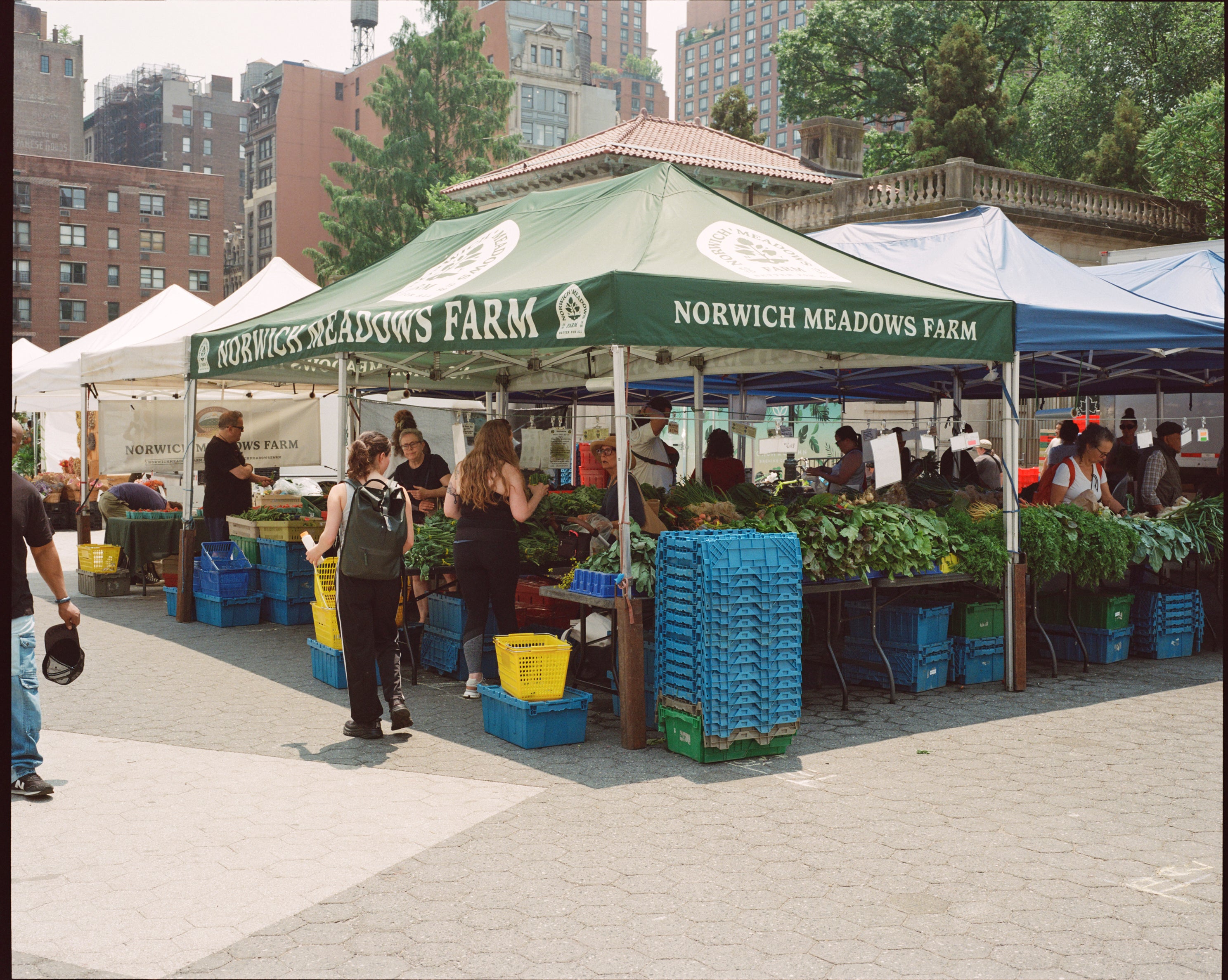 Norwich Meadows Farm stand at a New York City farmers market