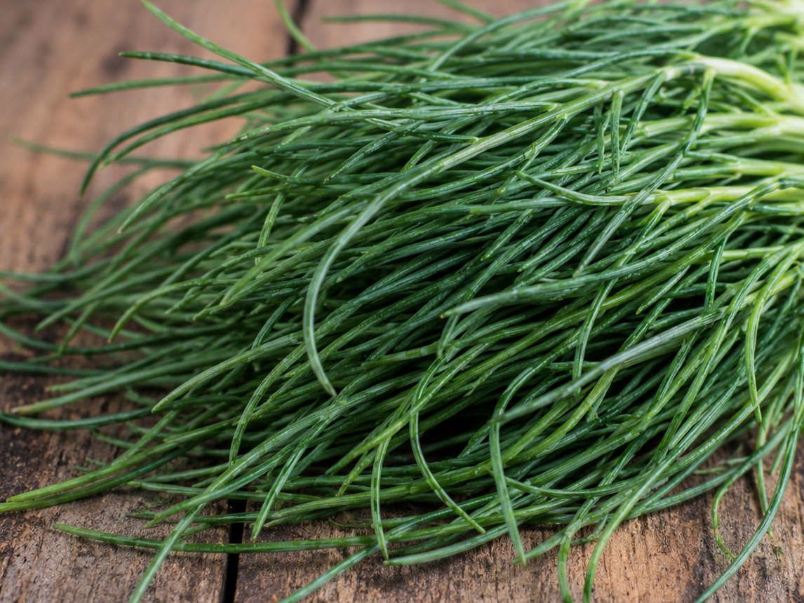 Fresh Agretti from Norwich Meadows Farm.