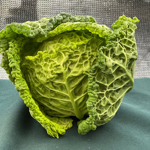 Norwich Meadows Farm - savoy cabbage.