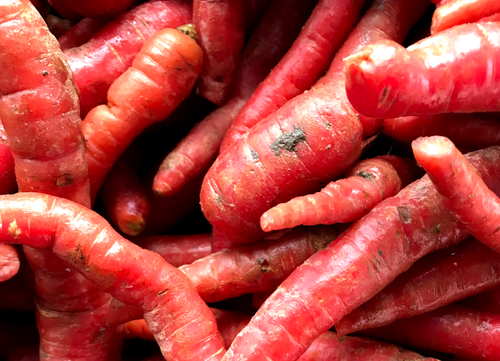 Kyoto Carrots - 1 bunch