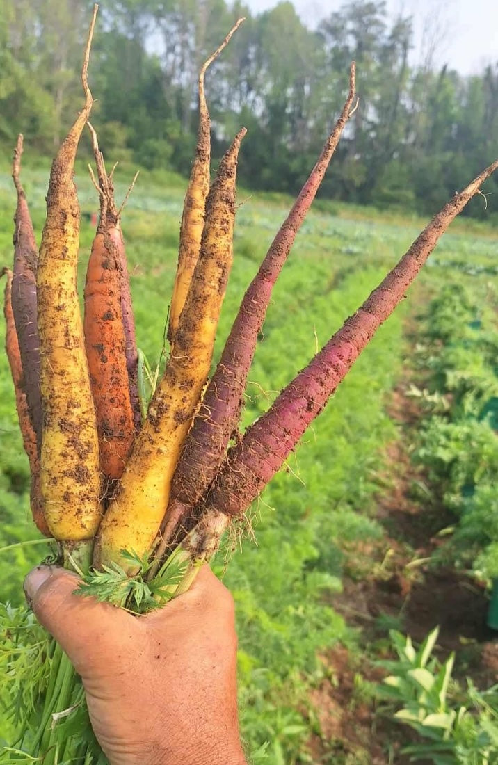 The Farm Box