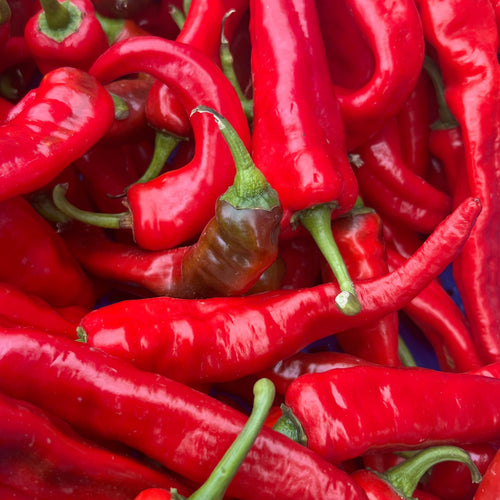 Jimmy Nardello Peppers - ready to fry - from norwich meadows Farm.