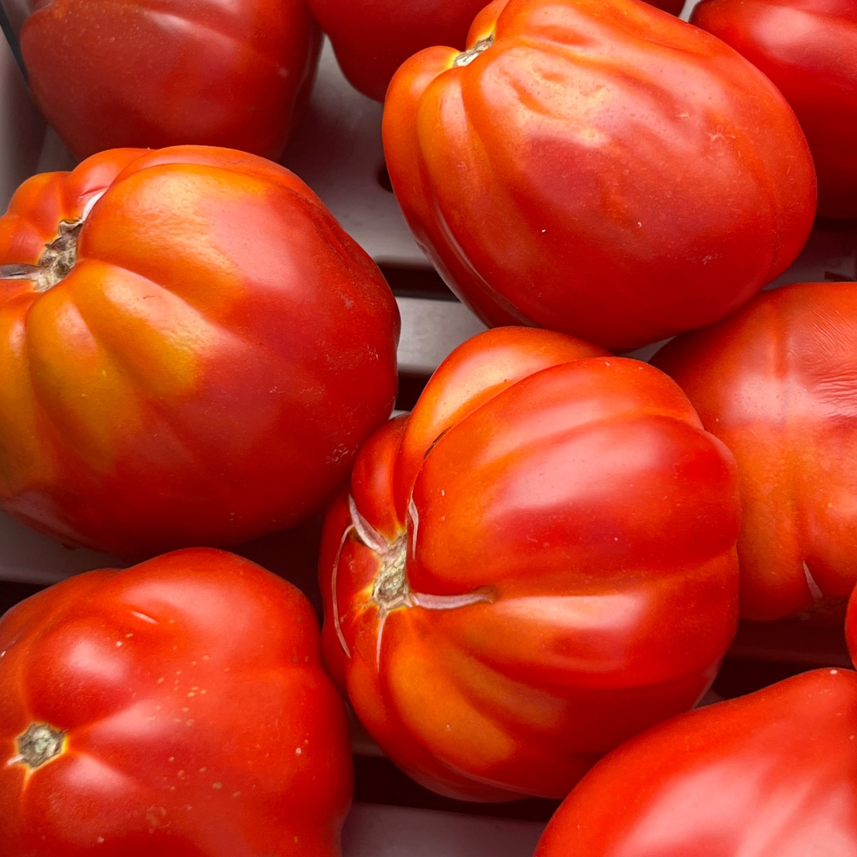 Close-up of large heirloom tomatoes in a container
