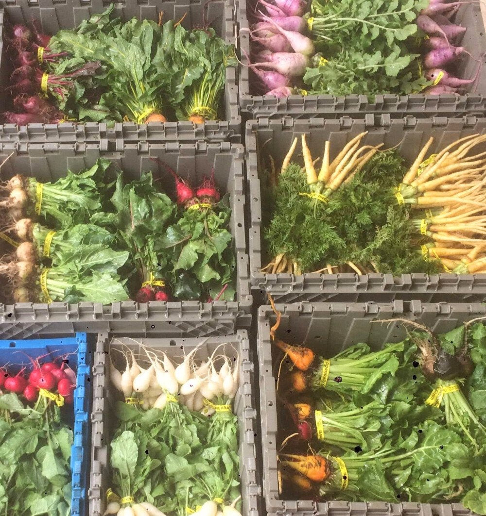 Veggies, harvested, washed and sorted ready for shipment from the farm.